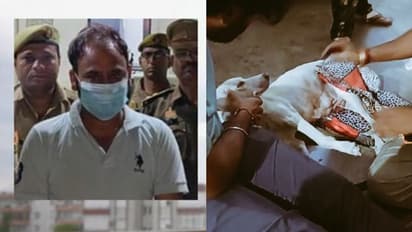 கர்ப்பிணி நாயை பலாத்காரம் செய்த காமக்கொடூரன்.. அக்கம் பக்கத்தினர் பார்த்ததால் என்ன செய்தார் தெரியுமா?