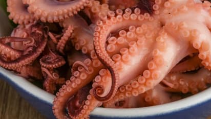 'ജീവനുള്ള നീരാളി' തൊണ്ടയിൽ കുടുങ്ങി 82കാരന് ദാരുണാന്ത്യം, പരീക്ഷിക്കാനെത്തിയത് വൈറലായ കുപ്രസിദ്ധ ഇനം