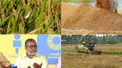 സംസ്ഥാനത്ത് നെല്ലു സംഭരണം അനിശ്ചിതത്വത്തിൽ, സഹകരണ സംഘങ്ങളെ  ഏൽപ്പിക്കാനുള്ള ധാരണയിലും  അന്തിമ തീരുമാനം ആയില്ല