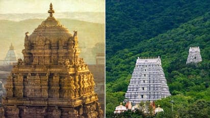 ತಿರುಪತಿಗೆ ಭಕ್ತರು ಆಗಮಿಸುವ ಕಾಲ್ನಡಿಗೆ ಮಾರ್ಗದಲ್ಲಿ ಚಿರತೆ, ಕರಡಿ ಮತ್ತೊಮ್ಮೆ ಎಚ್ಚರಿಸಿದ ಟಿಟಿಡಿ