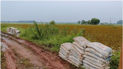 മുന്നറിയിപ്പില്ലാതെ ബിയ്യം റെഗുലേറ്റർ ഷട്ടർ അടച്ചു; 1200 ഏക്കറിൽ കൃഷിയിറക്കാൻ കഴിയാതെ കർഷകർ
