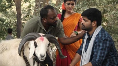 Tagaru Palya Review: ಭಾಷೆ ಸೊಗಸು, ದೃಶ್ಯ ಚಂದ, ಕಥನ ವಿಶಿಷ್ಟ