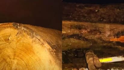 കായംകുളത്ത് ലോറിയില് നിന്ന് മരത്തടി ദേഹത്ത് വീണ് 53കാരന് ദാരുണാന്ത്യം