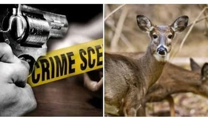 வன விலங்குகளை வேட்டையாட சென்றவரை துப்பாக்கியால் சுட்டுக்கொன்ற வனத்துறை.! சுட்டது ஏன் வெளியான பகீர் தகவல் 