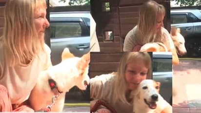 ಭಾರತದ ಬೀದಿ ನಾಯಿ ಜೊತೆ ಪ್ರೀತಿಯಲ್ಲಿ ಬಿದ್ದ ವಿದೇಶಿ ಮಹಿಳೆ: ವಿದೇಶಕ್ಕೆ ಹಾರಲಿದ್ದಾಳೆ 'ಜಯಾ'