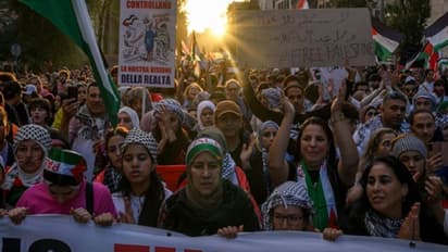 Israel-Palestine war: Thousands of Gaza residents break into aid warehouses to take supplies