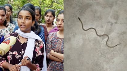 'പുഴുക്കൾ പുളയുന്ന കുടിവെള്ളം, എല്ലാവരും ആശുപത്രിയിലായി'; കോളേജ് മാനേജ്മെന്റിനെതിരെ വിദ്യാർത്ഥികൾ