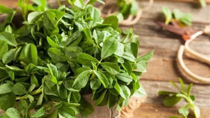 ഈ തണുപ്പത്ത് ഉലുവയില കഴിക്കുന്നതു കൊണ്ടുള്ള ആരോഗ്യ ഗുണങ്ങള്‍...