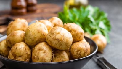 ഉരുളക്കിഴങ്ങ് പ്രിയരാണോ നിങ്ങൾ? എങ്കിൽ ഇതറിഞ്ഞിരിക്കൂ