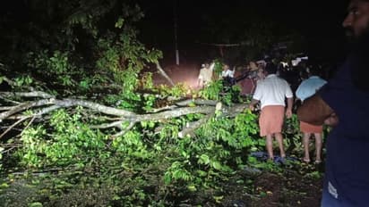 തൃശ്ശൂരിൽ കനത്ത മഴ, വ്യാപക നാശം! ഇടിമിന്നലേറ്റ് ഗർഭിണിയായ പശു ചത്തു, മരം വീണ് നിരവധിപേർക്ക് പരിക്ക്