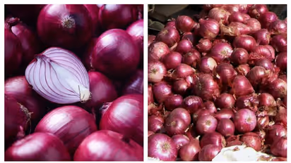 വിലയില്‍ 'പോരടിച്ച്' ചെറിയ ഉള്ളിയും സവാളയും; കത്തിക്കയറി വില