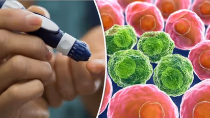 പ്രമേഹത്തെ നിയന്ത്രിക്കാനും ക്യാന്സര് സാധ്യതയെ കുറയ്ക്കാനും കഴിക്കാം ഈ ഒരൊറ്റ പച്ചക്കറി...