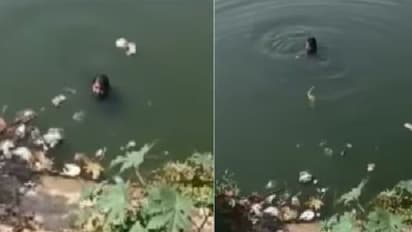 ಪೊಲೀಸರಿಂದ ತಪ್ಪಿಸಿಕೊಳ್ಳಲು ಕೆರೆಗೆ ಹಾರಿ ಈಜಿ ಪರಾರಿಯಾದ ಡ್ರಗ್ ಪೆಡ್ಲರ್