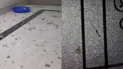 പെരുമാതുറ ബോംബേറ്: മൂന്ന് പേര് പിടിയിൽ, യുവാവിന്റെ പരിക്ക് ഗുരുതരം