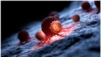 കാൻസർ ; ശരീരം മുൻകൂട്ടി കാണിക്കുന്ന ചില ലക്ഷണങ്ങൾ 