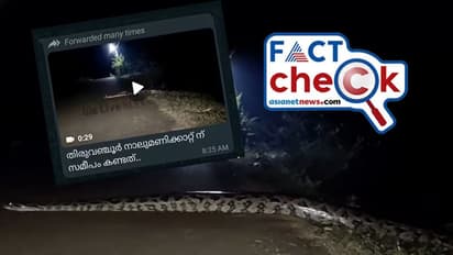 Fact Check: കോട്ടയം നാലുമണിക്കാറ്റില് റോഡിനോളം വലിയ പെരുമ്പാമ്പ്? വീഡിയോ വൈറല്; സത്യമിത്