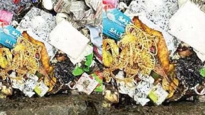 കുപ്പത്തൊട്ടിയിൽ മോഷണം പോയ സ്വർണം, കണ്ടെത്തിയത് വീട്ടുജോലിക്കാരി; ട്വിസ്റ്റ്, 'നല്ലവളായ ഉണ്ണി' തന്നെ പ്രതി !