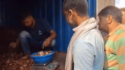 Onion market trends: जयपुर में 5 किलो प्याज सिर्फ 25 रुपए में...जानिए कैसे खरीद सकेंगे सस्ते में?