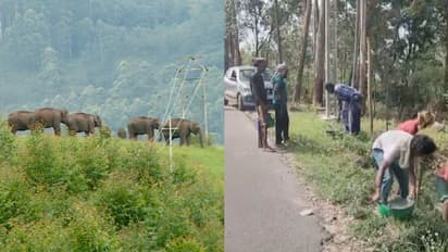 അവഗണിച്ച് വനംവകുപ്പ്, 6 കിലോമീറ്റർ ദൂരത്തില് പിരിവിട്ട് വൈദ്യുതി വേലിയൊരുക്കി നാട്ടുകാർ