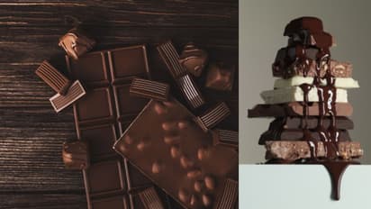 'പ്രീമിയം ഡാര്ക്ക് ചോക്ലേറ്റ്, ബട്ടര് ബിസ്ക്കറ്റ്, കൊതിയൂറും ഡെലിസ ചോക്ലേറ്റ്'; നാവിൽ രുചി നിറയ്ക്കാൻ മിൽമ