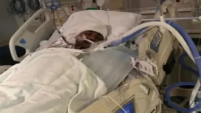 ஜிம்முக்குள் கத்தி குத்து.. அமெரிக்காவில் தாக்கப்பட்ட இந்திய மாணவர் - பிழைக்க 5% மட்டுமே வாய்ப்பு - டாக்டர்ஸ்!