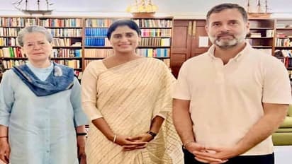 தெலங்கனா தேர்தலில் போட்டியில்லை; காங்கிரஸ் கட்சிக்கு முழு ஆதரவு - ஒய்.எஸ்.ஷர்மிளா!