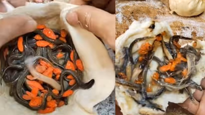 ಒಳಗೆ ಜೀವಂತ ಹುಳು ತುಂಬಿಸಿ ಮಾಡಿದ ಮೊಮೊಸ್  : ವಾಂತಿ ಬರಿಸುವ ವೀಡಿಯೋ ಸಖತ್ ವೈರಲ್‌