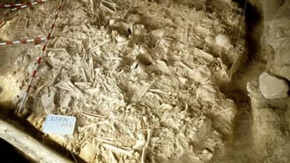 യൂറോപ്പിലെ ആദ്യയുദ്ധമുണ്ടായത് 5000 വർഷങ്ങൾക്ക് മുമ്പ്, പുതിയ കണ്ടെത്തലുമായി ​ഗവേഷകർ