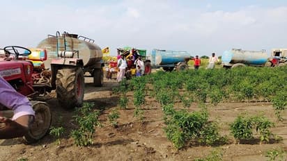 ರಾಯಚೂರು: ಮೆಣಸಿನಕಾಯಿ ಬೆಳೆ ಉಳಿಸಿಕೊಳ್ಳಲು ಟ್ಯಾಂಕರ್ನಿಂದ ನೀರು!