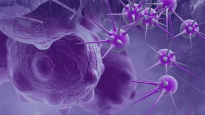 ക്യാൻസറിന് കാരണമാകുന്ന ഏഴ് ഭക്ഷണങ്ങൾ...