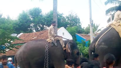 ನಂಜನಗೂಡು:  ಹುಲಿ ಸೆರೆಗಾಗಿ  ಆನೆಯೊಂದಿಗೆ ಕಾರ್ಯಾಚರಣೆ