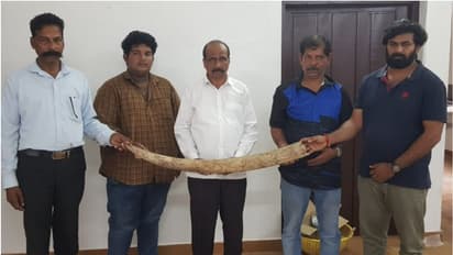 ഒരുമീറ്റർ നീളം, ലക്ഷങ്ങളുടെ വില, എത്തിയത് കർണാടകയിൽ നിന്ന്; വയനാട്ടില്‍ ആറംഗ സംഘം പിടിയില്‍