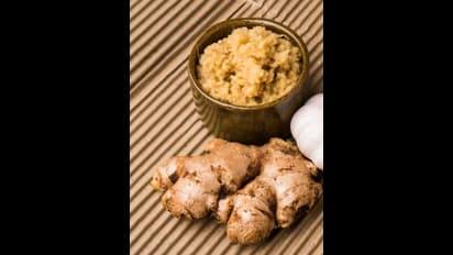 10 நிமிடத்தில் டேஸ்டான இஞ்சி சட்னி.. இப்படி ஒரு முறை செய்து கொடுங்க.. விரும்பி சாப்பிடுவாங்க..