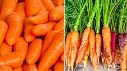 குளிர்காலத்தில் கேரட் சாப்பிடுவதால் இவ்வளவு நன்மைகளா?