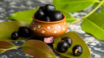 ഞാവൽപ്പഴം കഴിക്കാറുണ്ടോ? അറിയാം ഈ അത്ഭുത ഗുണങ്ങള്...