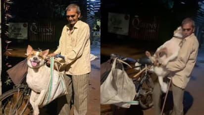 70 വയസ്സുള്ള ഗാർഡിന് കാവൽക്കാരനായി നായ; ആരെയും അത്ഭുതപ്പെടുത്തുന്ന ആത്മബന്ധം