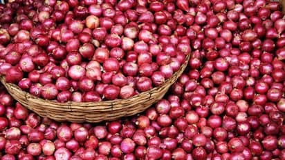 Small Onion : திடீரென உயர்ந்த சின்ன வெங்காயத்தின் விலை.! ஈரோடு சந்தையில் ஒரு கிலோ என்ன விலை தெரியுமா.?
