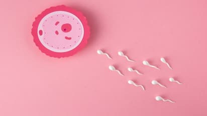 Australian woman wins right to extract late husband's sperm and have baby at 62