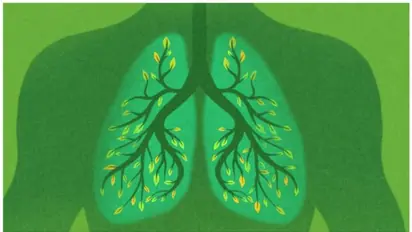 ഈ 10 ഭക്ഷണങ്ങൾ ശ്വാസകോശത്തെ ആരോ​ഗ്യത്തോടെ സംരക്ഷിക്കും