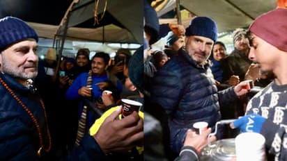 'ഒരു സ്ട്രോംഗ് ടീ കുടിക്കൂ'; കേദാർനാഥിൽ ചായ വിതരണം ചെയ്ത് രാഹുൽ ഗാന്ധി, അമ്പരന്ന് തീർത്ഥാടകർ- വീഡിയോ