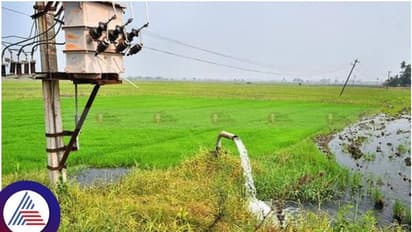 ಅನ್ನದಾತರಿಗೆ ಗುಡ್ನ್ಯೂಸ್: ಇಂದಿನಿಂದಲೇ ರೈತರ ಪಂಪ್ಸೆಟ್ಗಳಿಗೆ 7 ತಾಸು ವಿದ್ಯುತ್ ನೀಡಲು ಸಿಎಂ ಸಿದ್ದರಾಮಯ್ಯ ಆದೇಶ