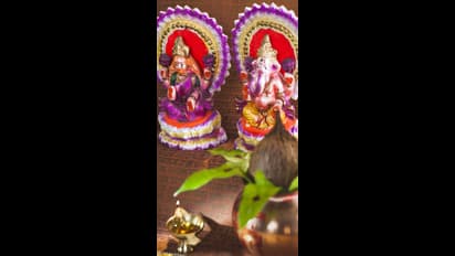 దీపావళి నాడు మీరు ఈ జీవులను చూస్తే అదృష్టవంతులే..!