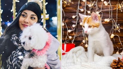 Diwali 2023: Here are 7 ways to pamper your pet this festival season 