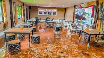 മീനുകള് നീന്തുന്ന വെള്ളത്തില് കാലിട്ടിരുന്ന് കാപ്പി കുടിക്കാം; വീഡിയോ വൈറലാകുന്നു...