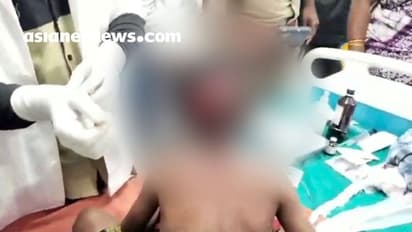 വീട്ടുമുറ്റത്ത് കളിച്ചുകൊണ്ടിരിക്കെ പുലിയുടെ ആക്രമണം: ഏഴ് വയസുകാരന് ഗുരുതര പരിക്ക്