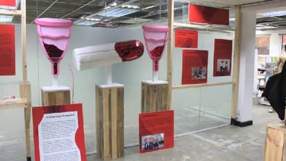 88 ലക്ഷം രൂപ സമാഹരിച്ചു, ലോകത്തിലെ ആദ്യത്തെ യോനീ മ്യൂസിയം വീണ്ടും തുറന്നു