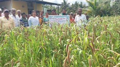 ನವಣೆ ಪೋಷಕಾಂಶಗಳ ಮೂಲ : ಇದರಲ್ಲಿದೆ ಆರೋಗ್ಯ ಪ್ರಯೋಜನ