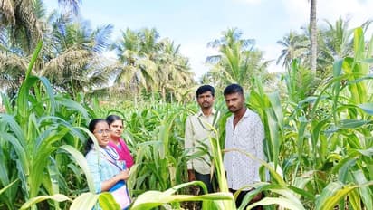  ಬೆಳೆಗಳಲ್ಲಿ ರೋಗ ಬಾರದಂತೆ ಮುಂಜಾಗ್ರತಾ ಕ್ರಮ ವಹಿಸಲು ರೈತರಿಗೆ ಸಲಹೆ