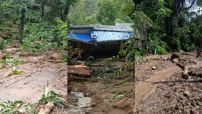 Kerala: Massive landslide ruins 50 acres of farming land in Idukki