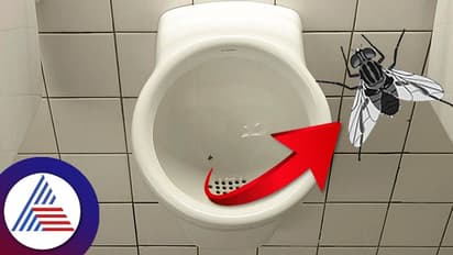 ಗಂಡಸರ ಬುದ್ಧಿ ಗೊತ್ತು ಮಾಡ್ಕೊಂಡ ದೇಶ, ಈ ಐಡಿಯಾದಿಂದ ಪಬ್ಲಿಕ್ ಟಾಯ್ಲೆಟ್ ಈಗ ಫುಲ್ ಕ್ಲೀನ್!